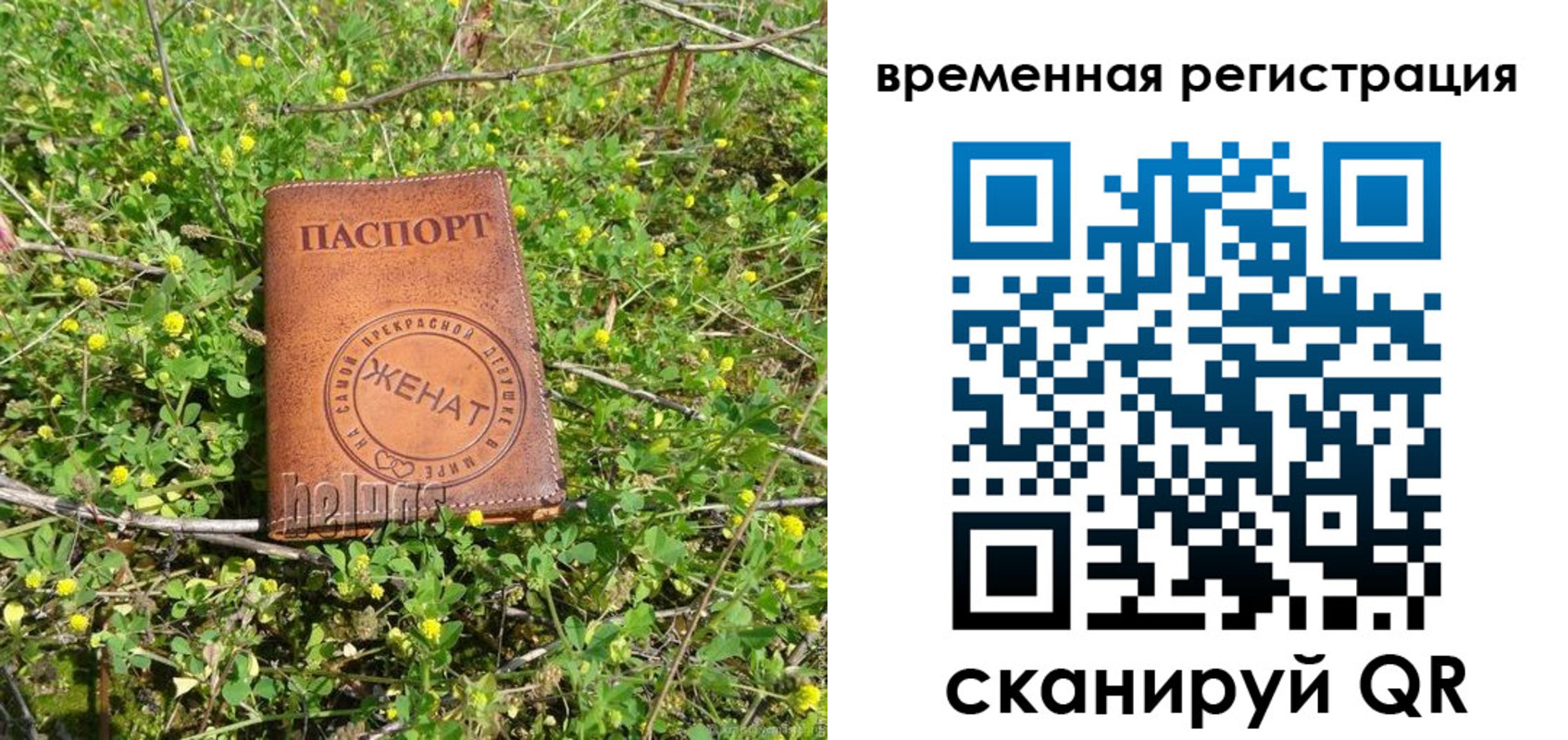 прописка регистрация в Советске